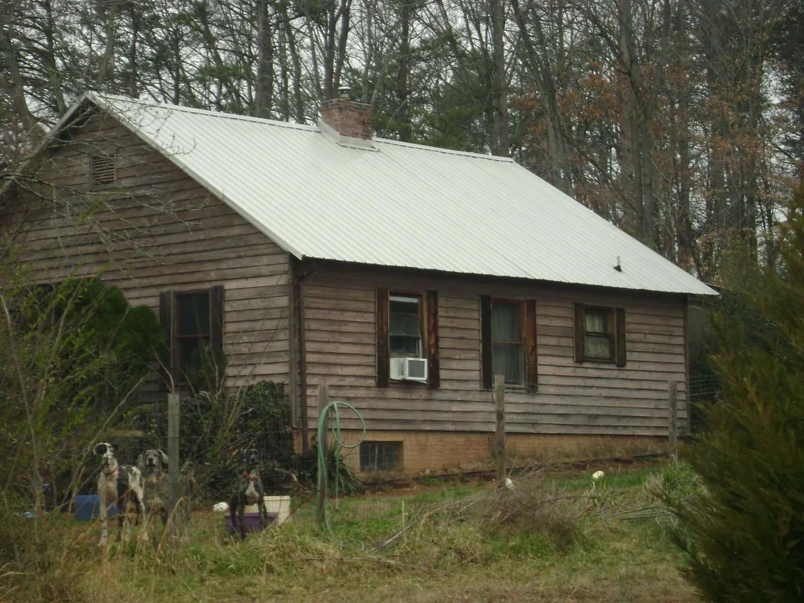 White metal roof on an old wood sided farmhouse, from a Metal Roof Installation job in North Bend